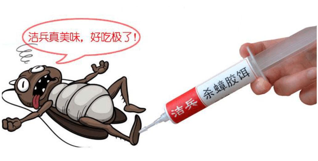 蟑螂怕什么怎样驱赶蟑螂最有效,蟑螂怎么消灭最彻底蟑螂习性