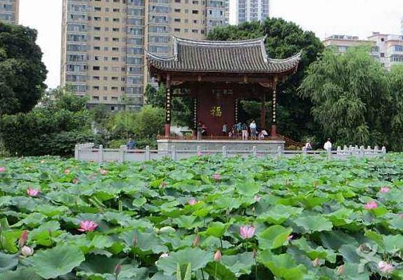 福州春游踏青哪里好,福州慢姑娘聚嗨团建轰趴馆