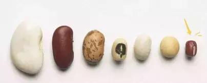 这道难倒十万读者的推理闯关题，你能破解吗？