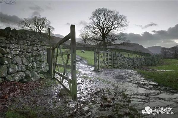 濞佸粔鍗庡吂鍗庢柉鏁呭眳,鍧庡竷閲屼簹