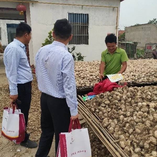真情服务助“蒜季”，播洒惠农“及时雨”
