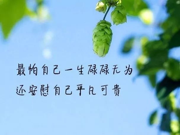 不要总说“明天”,世界上没有比现在还更有意义