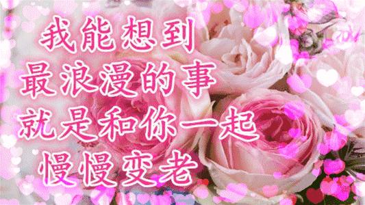 520情人节祝福语简短大全,520情人节祝福送上真的太美了