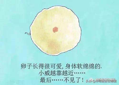 才女高颜值,高颜值才女