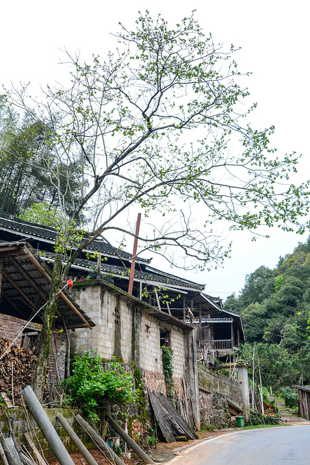 疫情对湖南这里居然丝毫没有影响！0病发，还超级适合徒步旅行！