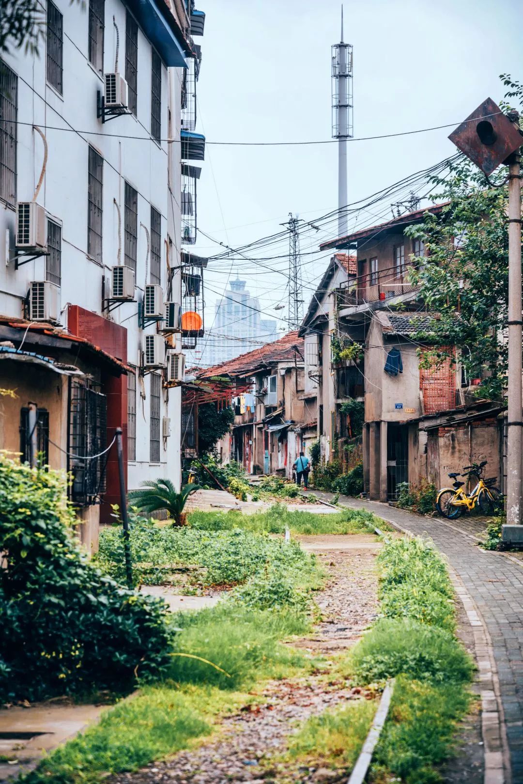 武汉是怎样的一座城,武汉发展汉阳