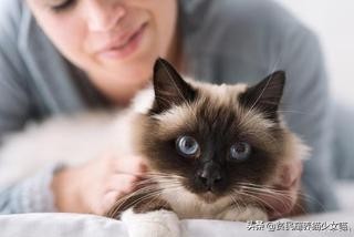 强撸的猫不甜，这些撸猫手法让猫咪乖乖投降，收藏备查