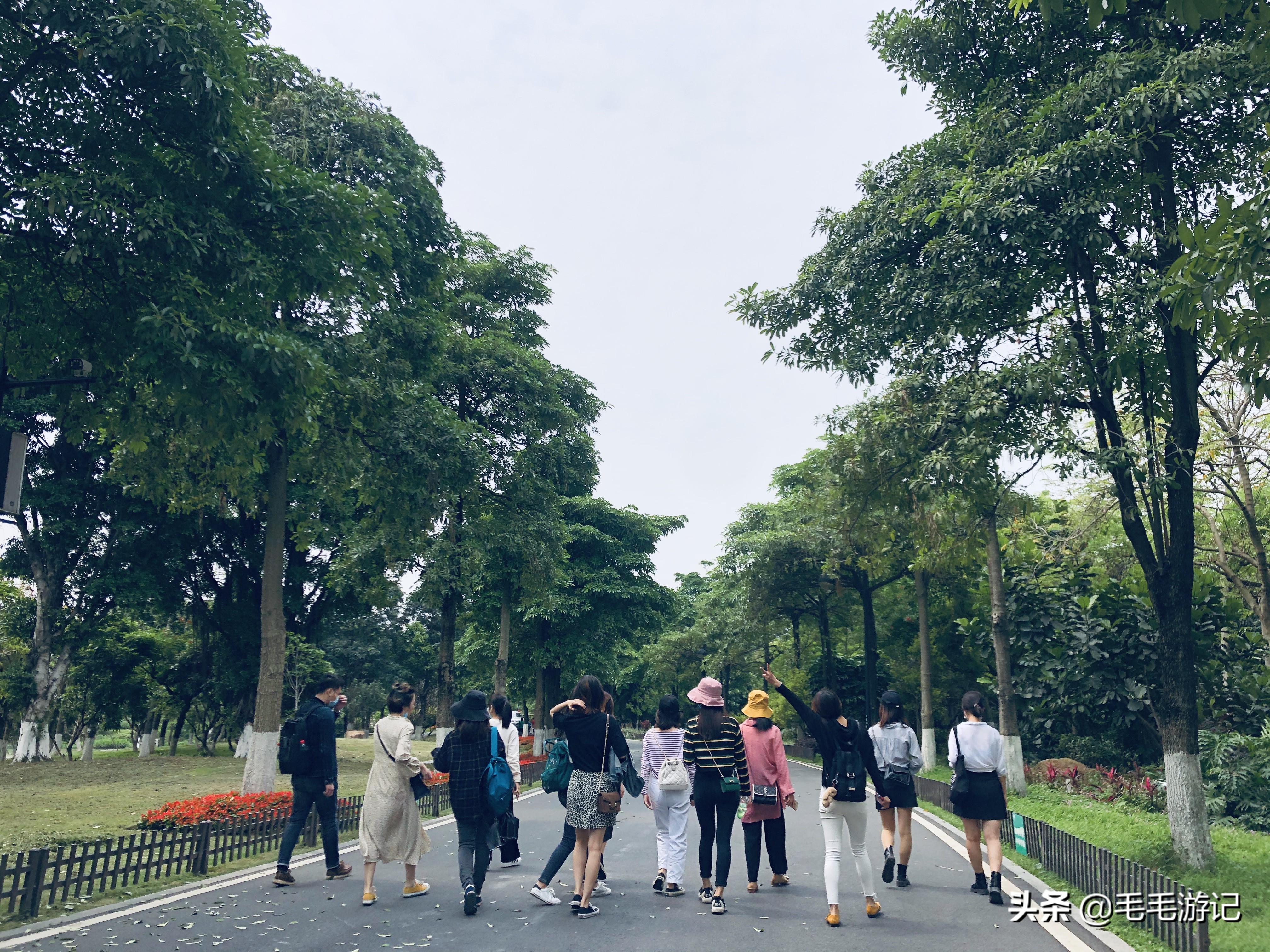 户外散步海珠湖,户外徒步广州