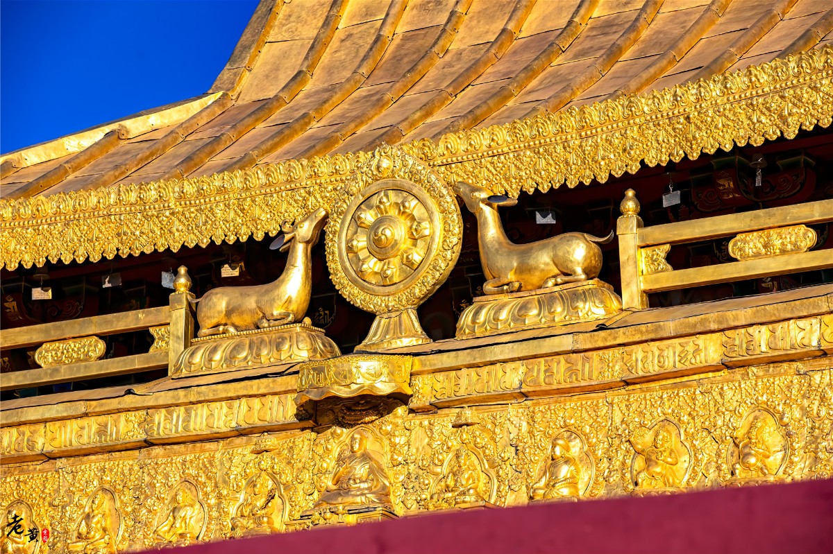 拥有千年历史的大昭寺,拉萨著名地标之一,有个美丽误会流传至今