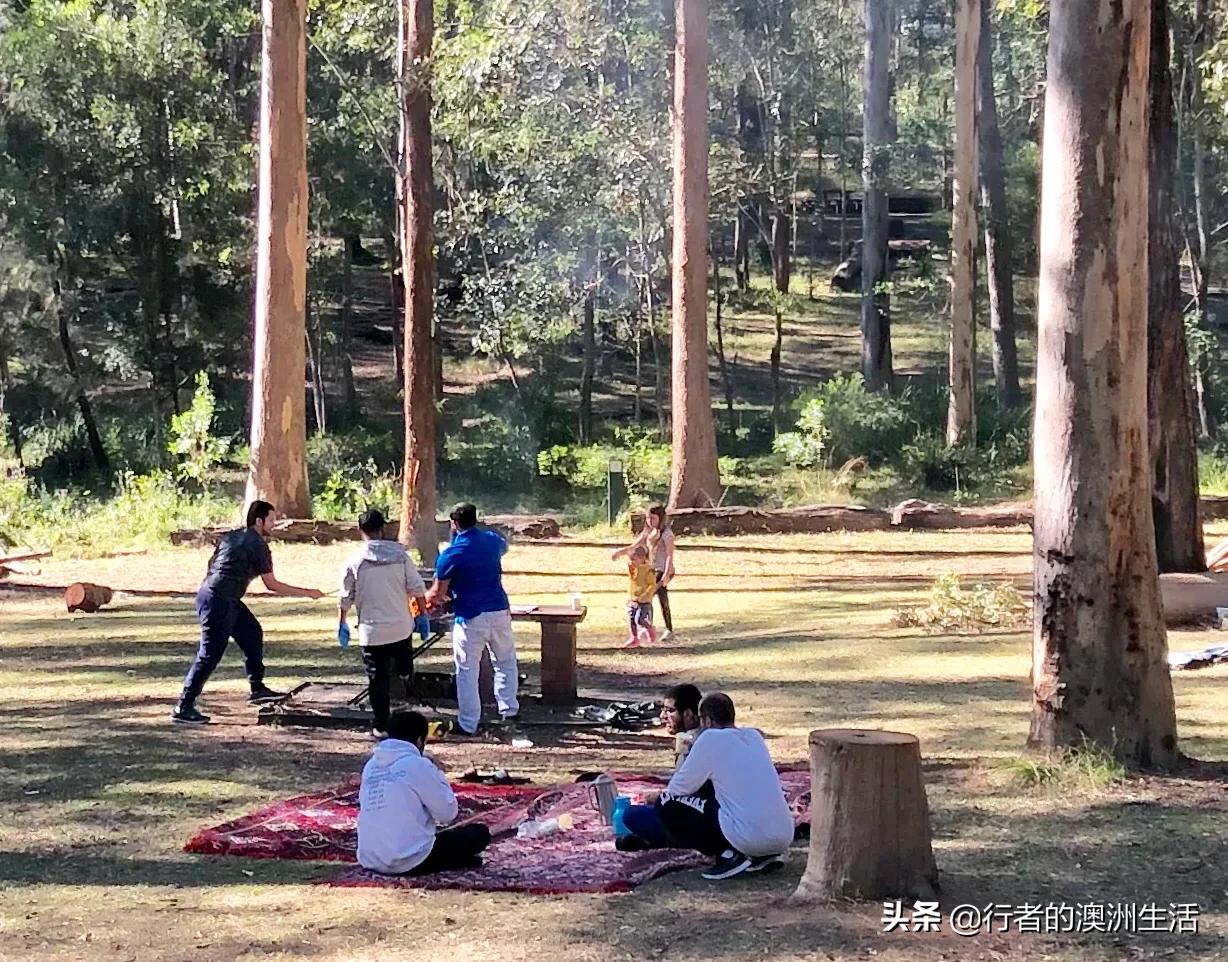 澳洲布里斯班的真实生活（2