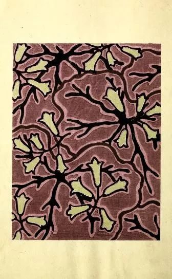 一百年前报纸上的照片怎么印刷的,一百多年前的书籍的价值