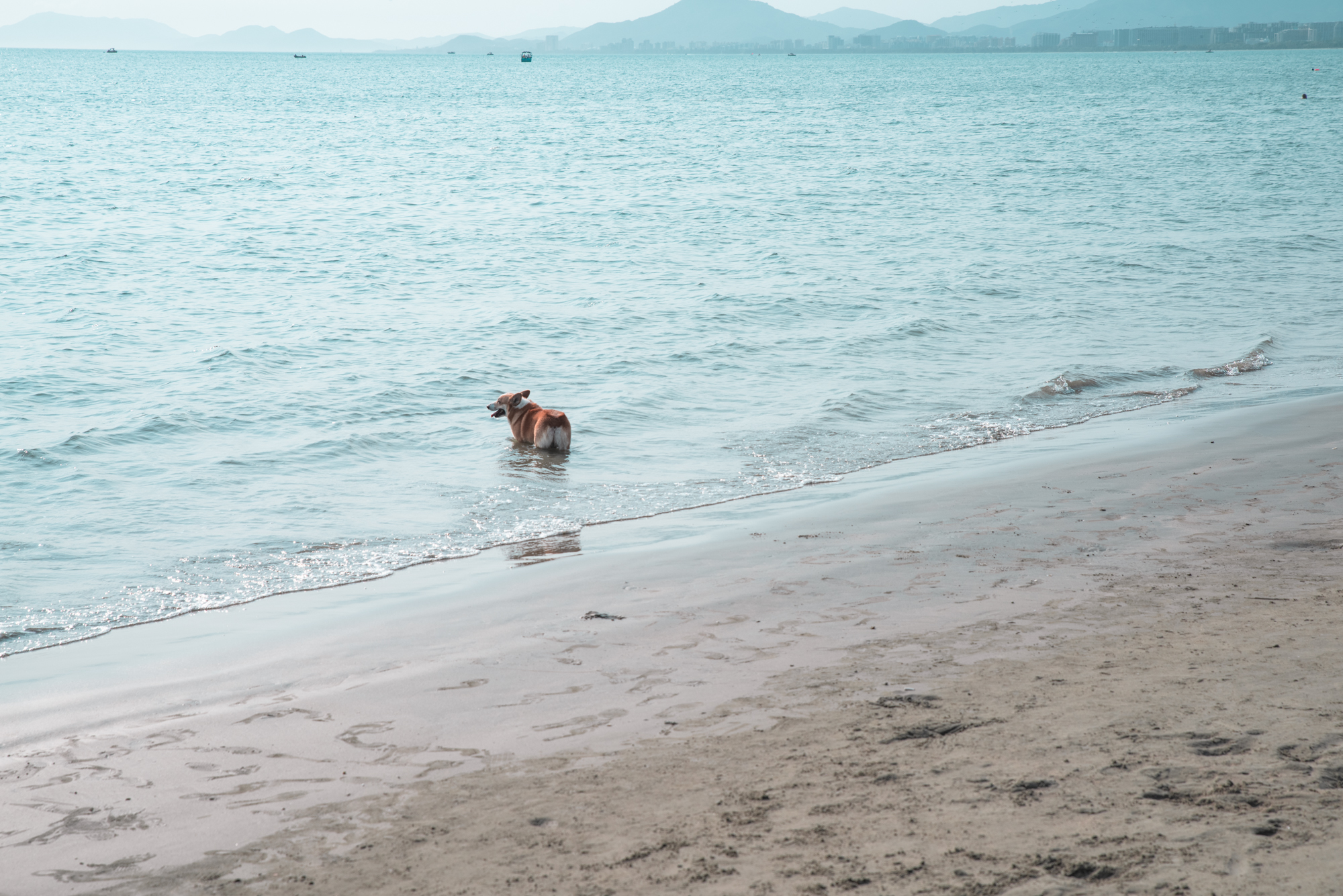 三亚的三亚湾风景如何,三亚市三亚湾海滩状况如何