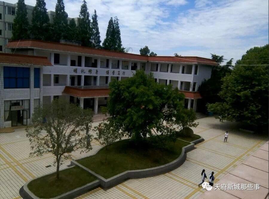 天府新区三大教育集团,天府新区五大教育集团