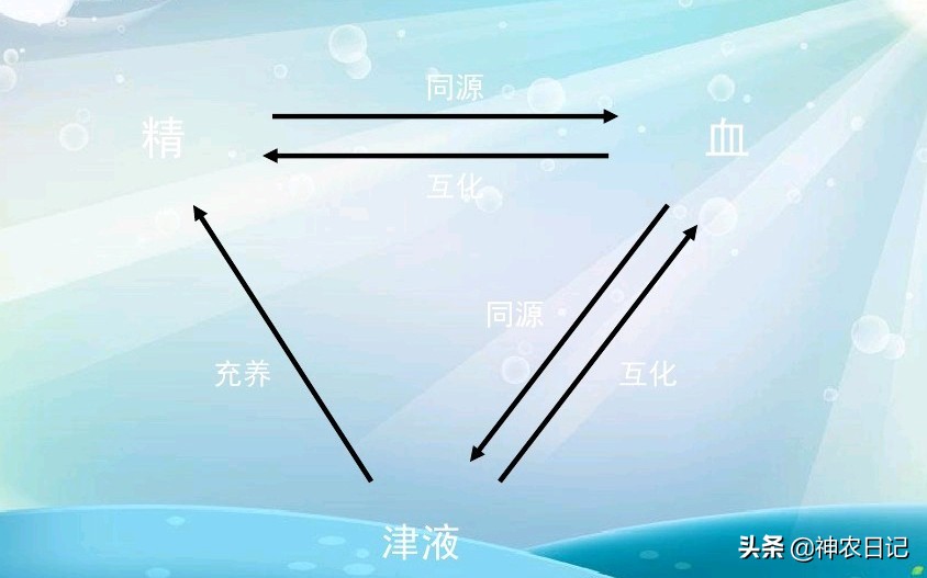 汗出在哪里病就在哪里,出汗部位不同反映身体健康状况