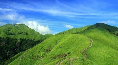 期货波段交易高手心得,期货高手访谈大行情为啥亏损