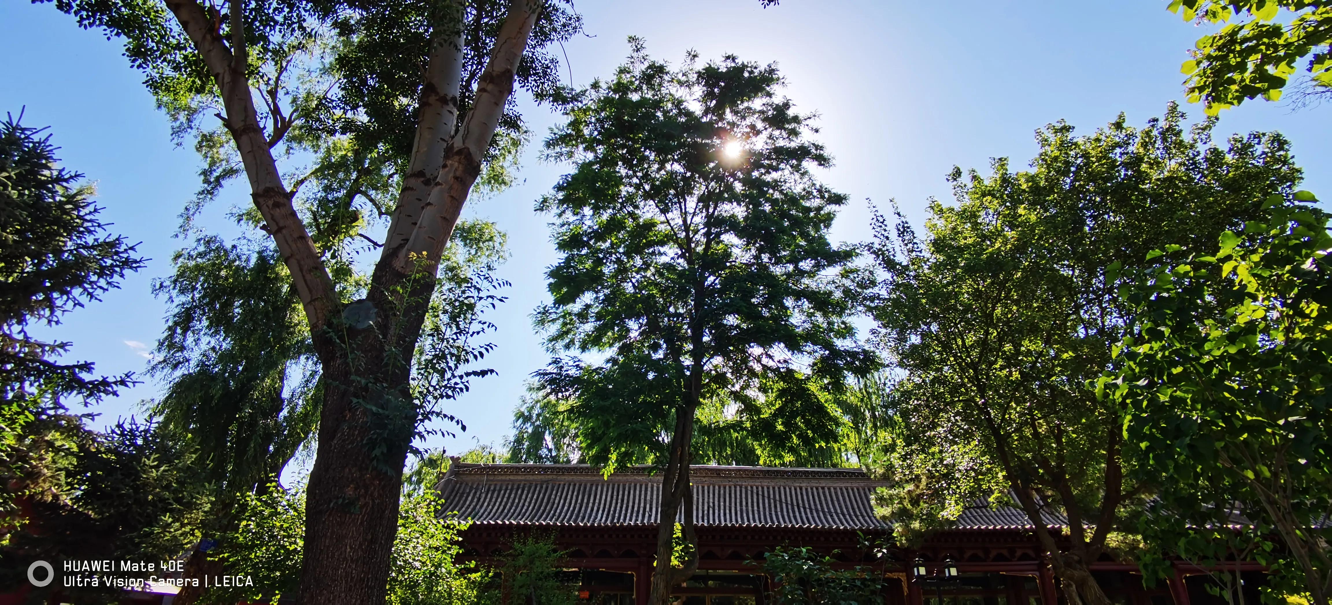 张掖景区大佛寺介绍,张掖大佛寺旅游攻略