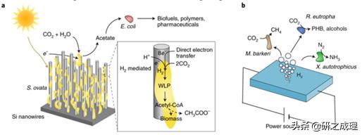 催化周报:10篇子刊,14篇Angew,你想要的前沿都在这里