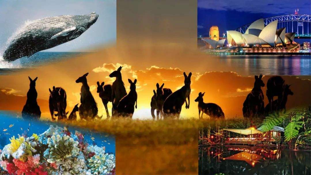 澳大利亚签证办理流程及费用,澳大利亚签证申请条件及费用