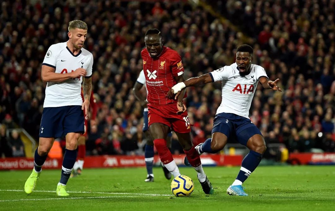 mg世界观完整视频,mg进化史完整版过程