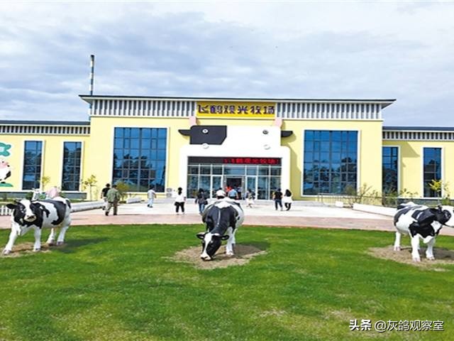 国产奶粉的现状,国产奶粉逆袭