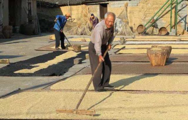 在路上晒粮食车子压着违法吗,开车遇到大车压过的路面