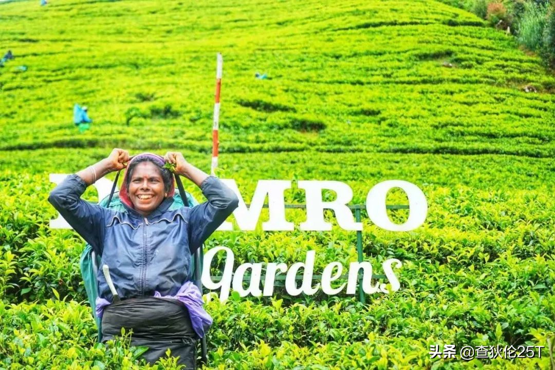 斯里兰卡努沃埃利耶小镇,斯里兰卡努沃勒埃利耶茶厂