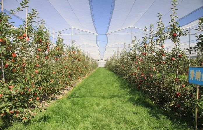 战疫助农滞销品突然销售火爆,战疫助农数据