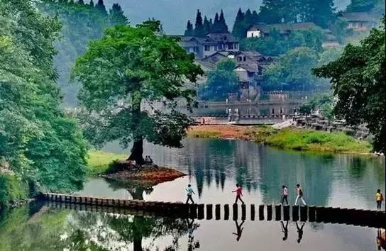 一泡而红！四川这座小城已火向全球，今天万人齐聚！