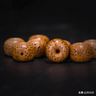 新手星月菩提适合买多大的,星月菩提4大禁忌