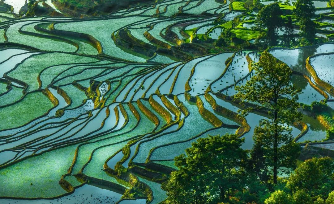云南抚仙湖绝美风景,云南人少地方美