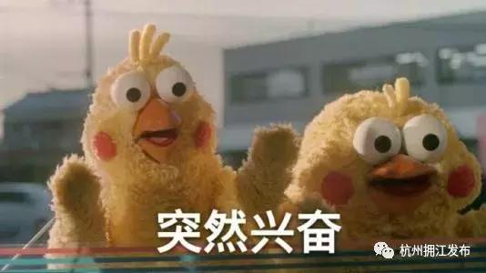 萧山哪里有足球场,杭州萧山开放足球场有哪些