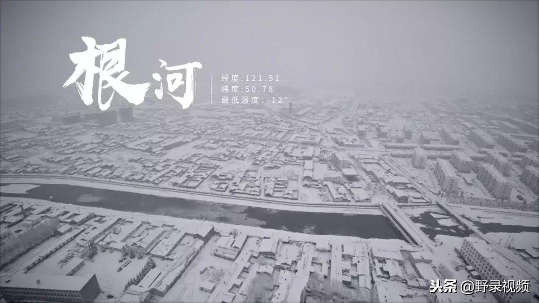 敖鲁古雅原始部落驯鹿喂草,敖鲁古雅驯鹿旅行