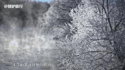 雾凇之美宛若仙境,连云港花果山雾凇美得像仙境