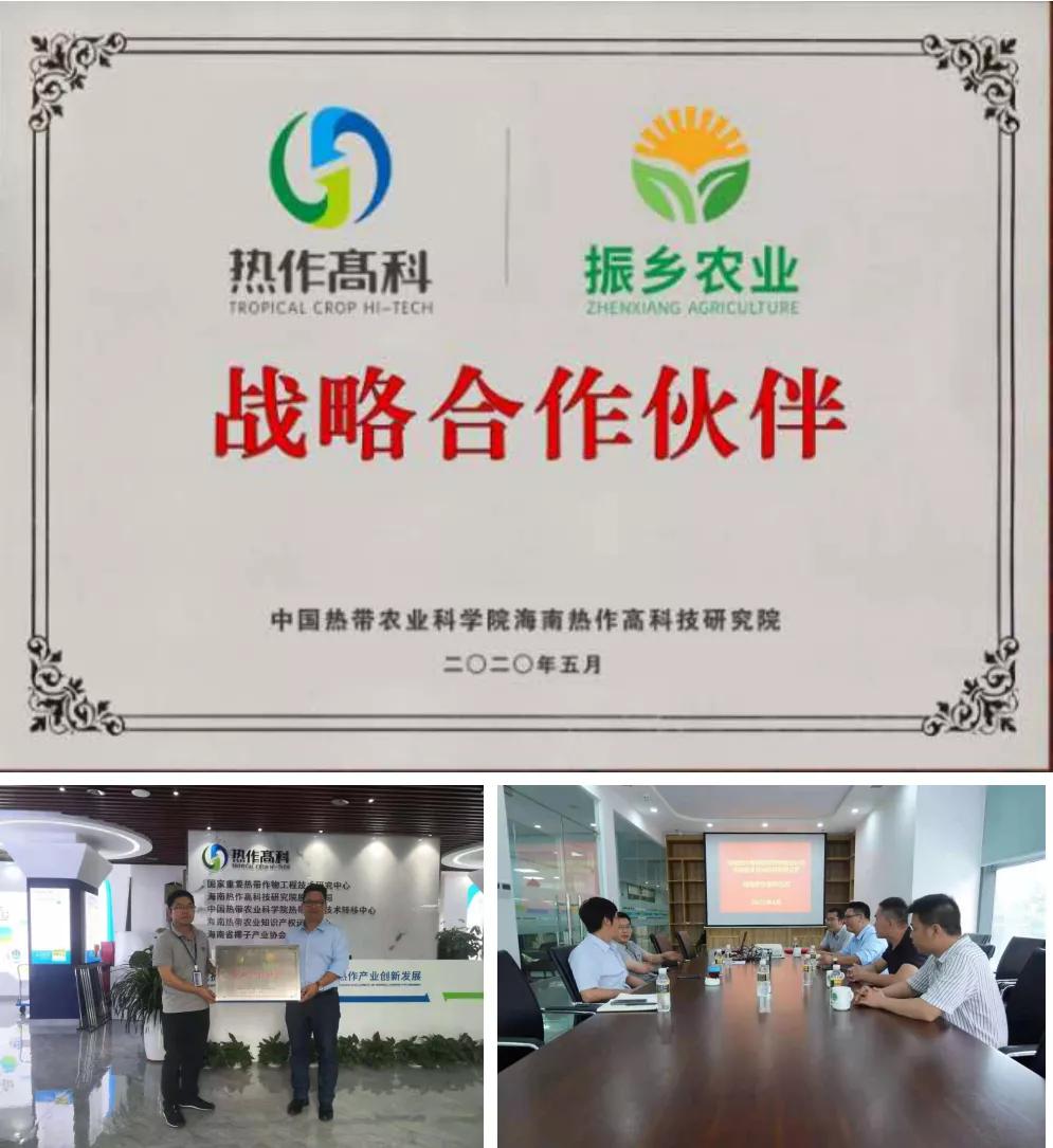 探访水果基地,海南水果王国