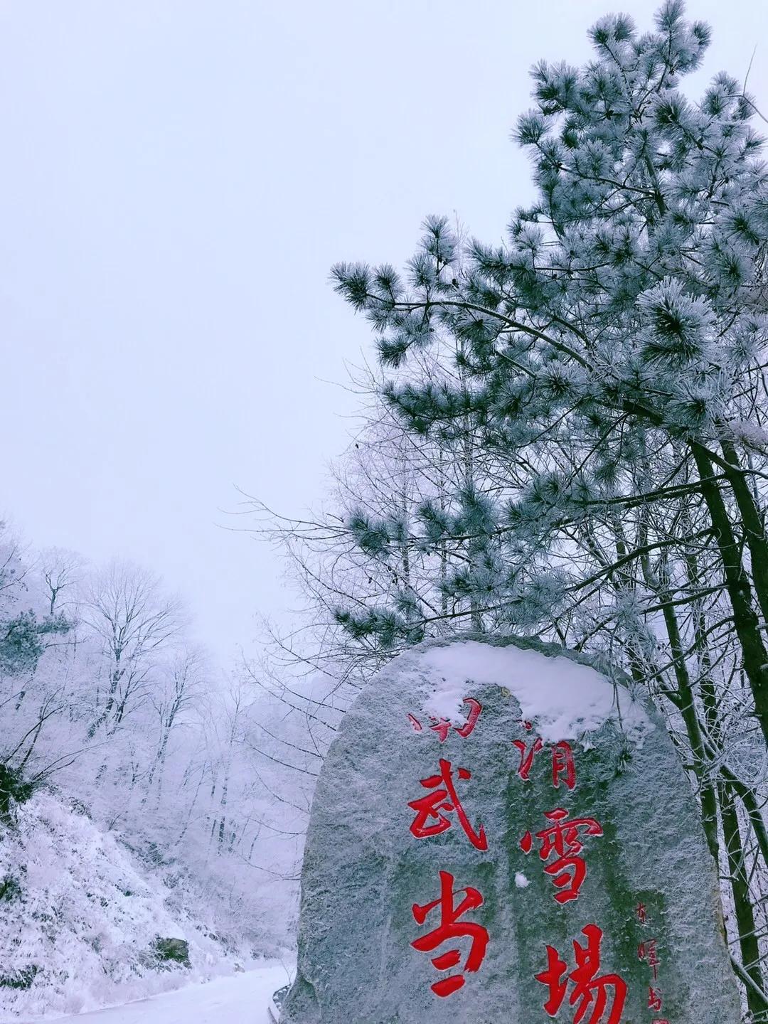 春节看雪旅游3-4天攻略最佳线路,武汉人五一适合去哪旅游
