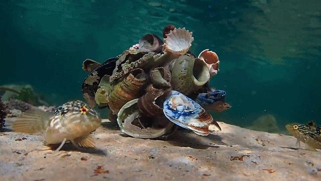 人鱼情未了在线阅读,人鱼情未了电视剧免费观看