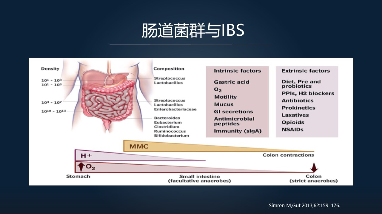 粪菌移植能治疗肠易激综合征吗,肠易激综合征能粪菌移植治疗吗