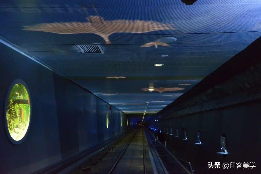 上海十大小众博物馆排名,十大小众博物馆