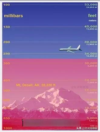 马航mh17坠机事件是怎么回事,马航mh17坠毁现场有遗体吗