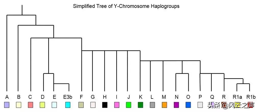 中国人从哪里来的,中国人从哪里来完整版