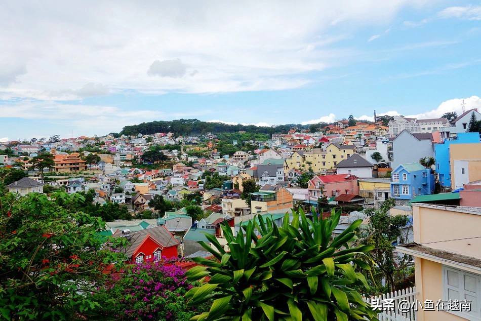 越南旅游与文化教程,越南旅游签证的最新政策