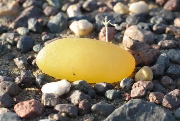 新疆自捡戈壁奇石,新疆戈壁滩有哪些奇石