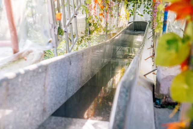 观音山风景如画,观音山美景精彩视频