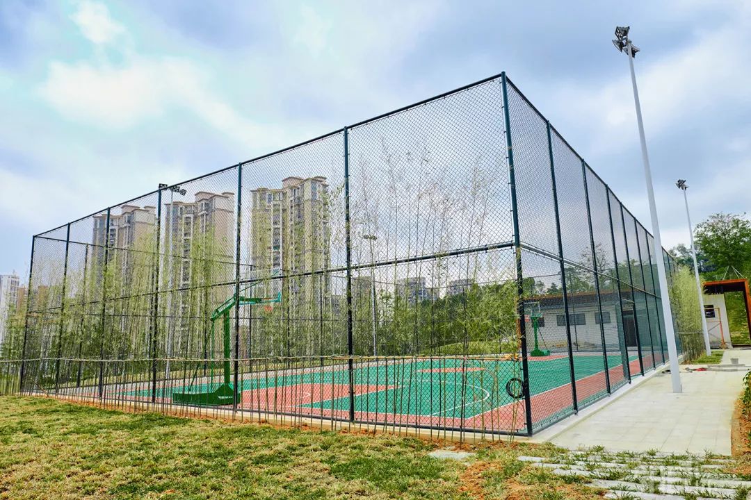 深圳网红公园地铁站,深圳地铁最近有什么公园