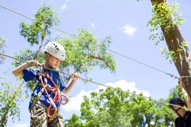 可拉熊团购,深圳可拉熊丛林探险营地团购门票
