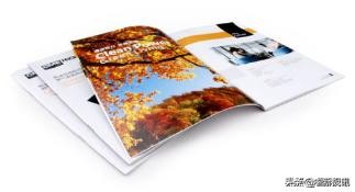 纸张收藏必备知识,纸张规格基本常识