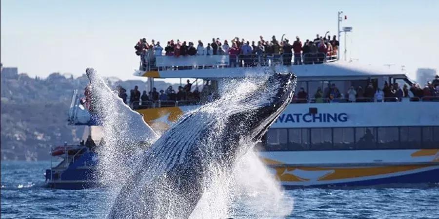 救命贴！在新加坡母亲节能送的礼物都在这里了！