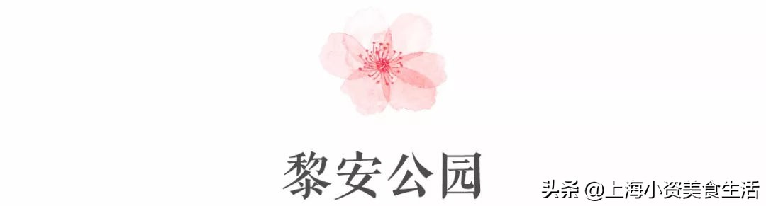 顾村公园一年一度赏樱,顾村公园赏樱点