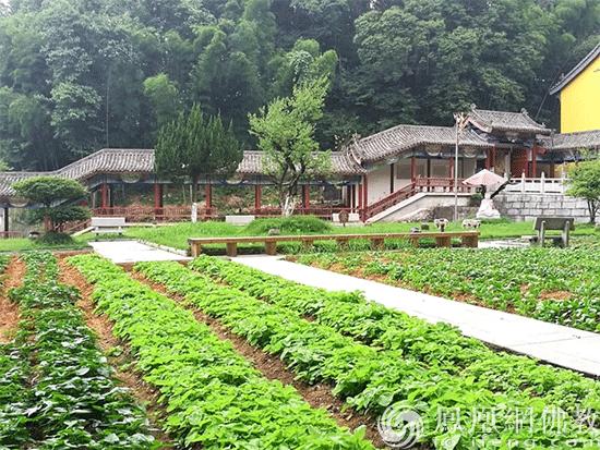 五祖寺和五祖禅院有什么区别,农禅合一起源