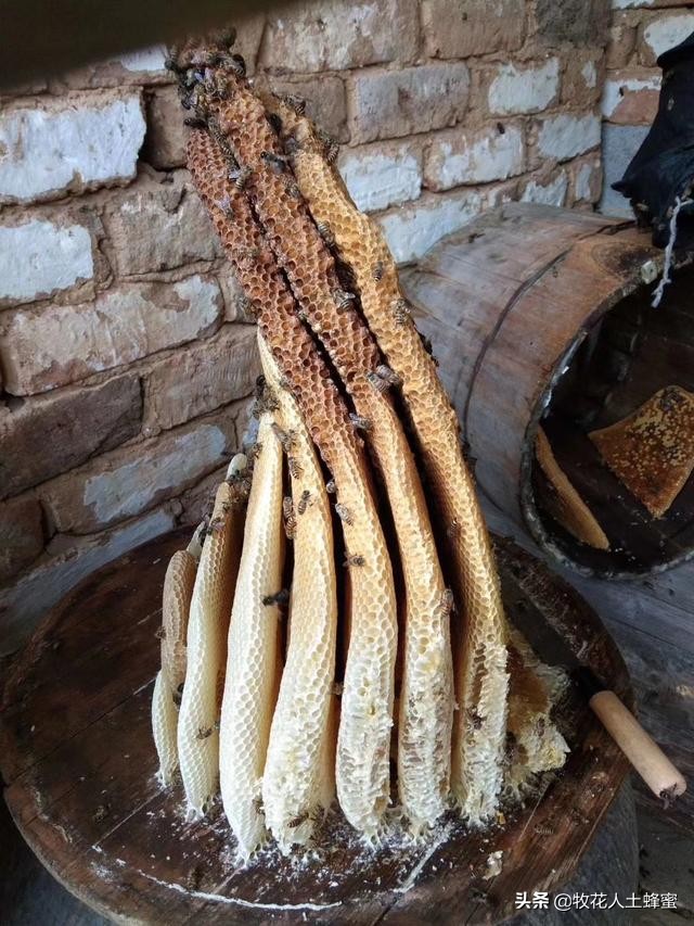 吃麦卢卡蜂蜜的禁忌,吃麦卢卡蜂蜜有效果吗